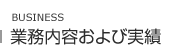 業務内容および実績